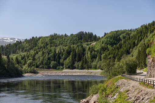 A panoramic summer view of Snasavatnet, Norway's sixth-largest lake, framed by lush forests, a curving road, and a clear blue sky, capturing the essence of a vibrant, sunny day