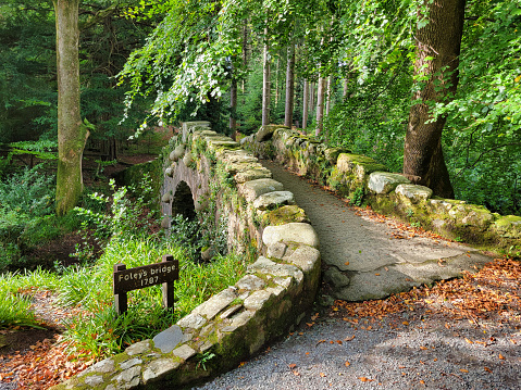Fall image of Foley's Bridge, built in 1787, located in Tolleymore Forest Park in Northern Ireland.