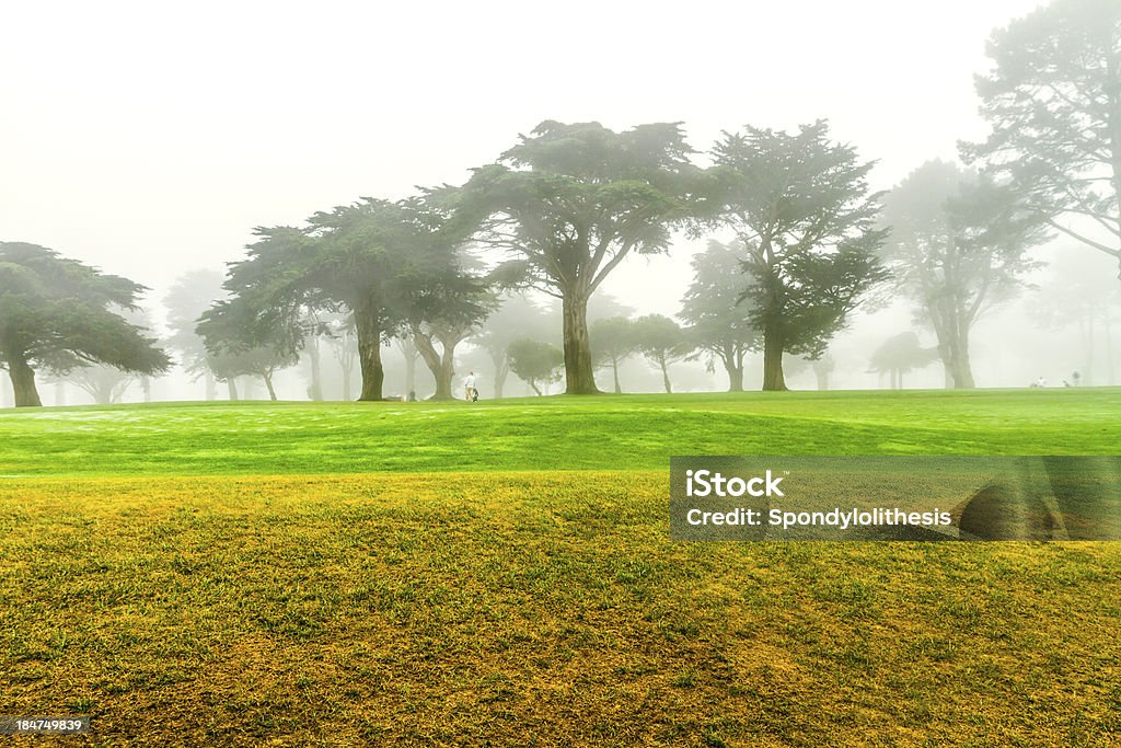 La nebbia mattutina e albero - Foto stock royalty-free di Albero