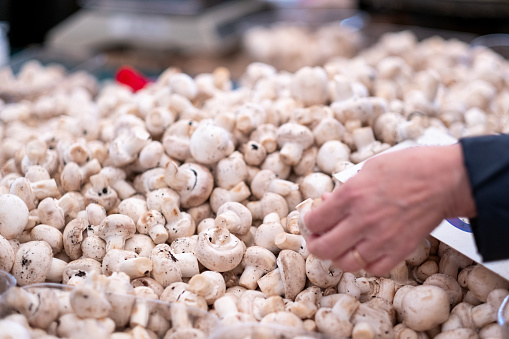 Unrecognizable person choosing mushrooms at street market