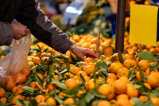 Unrecognizable person choosing tangerines in street market