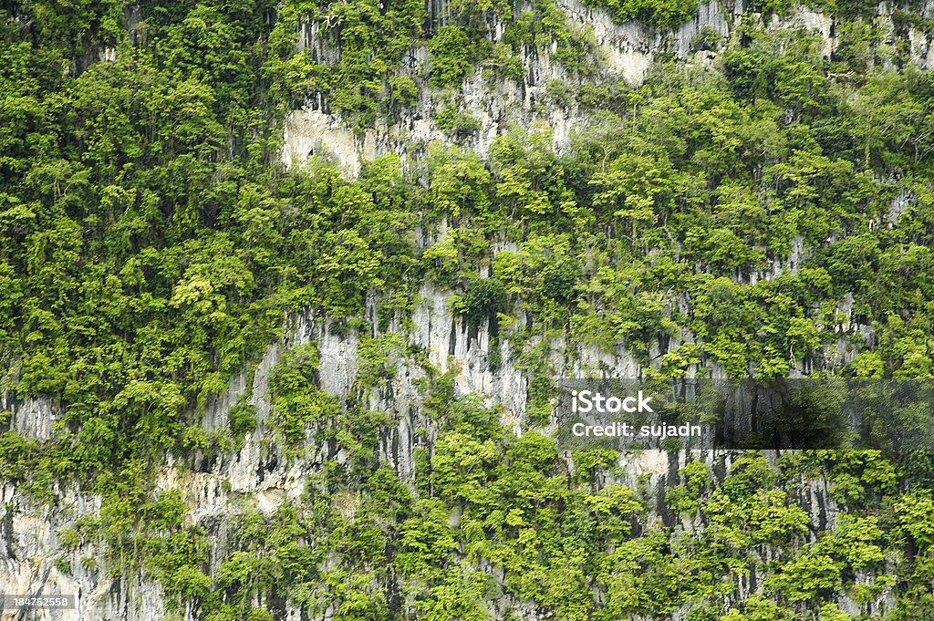 Floresta sem costura padrão - Foto de stock de Abstrato royalty-free