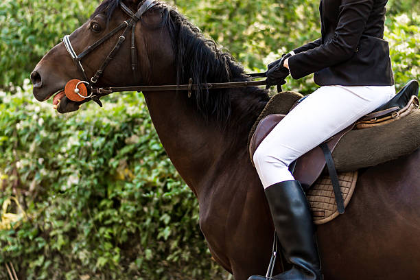 istock Horse riding - closeup 184757243