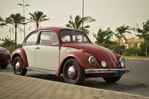 the vintage volkswagen beetle red cars at cairo egypt on sunny day