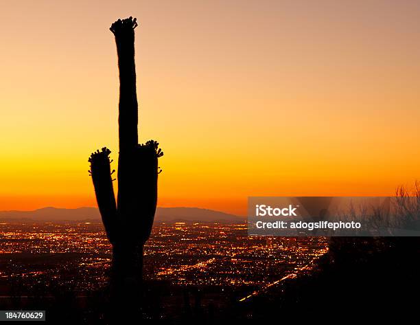 Sunset On Phoenix With Saguaro Cactus Stock Photo - Download Image Now - Arizona, City, Phoenix - Arizona