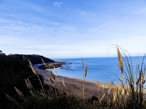 Tea Tree Bay in Noosa National Park is a popular spot for surfing and sunbathing