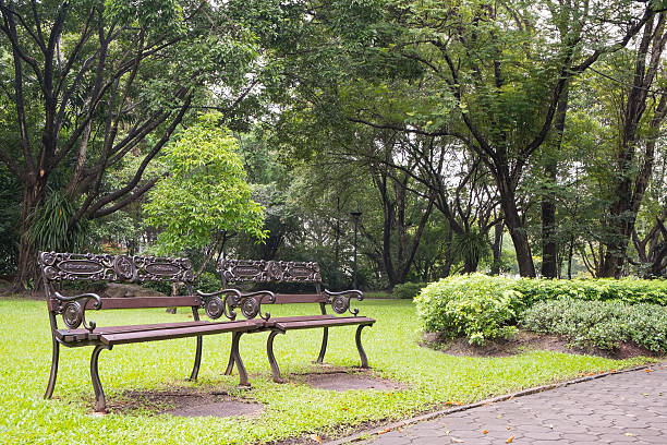 istock Two Vintage Benches at Suan Luang Rama 9 Park 184761647