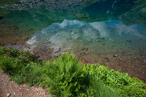 Clear water of Lake Dukka Rybka on the Malaya Dukka River on the slopes of the Arkasar ridge in the North Caucasus on a sunny summer day, Arkhyz, Karachay-Cherkessia, Russia