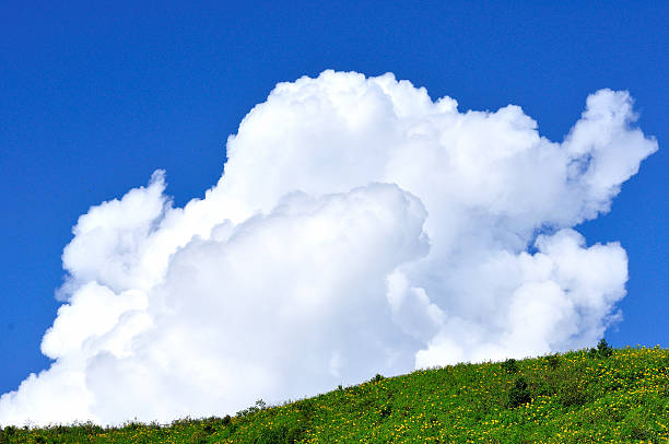 istock Green hill with big white clouds, background. 184762765