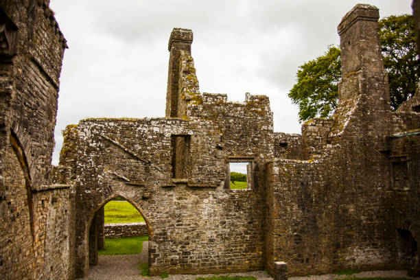 istock Spring in Bective Abbey (Mainistir Bheigti), Ireland 1847645071