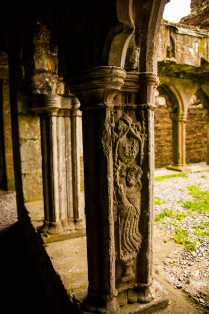 istock Spring in Bective Abbey (Mainistir Bheigti), Ireland 1847645073