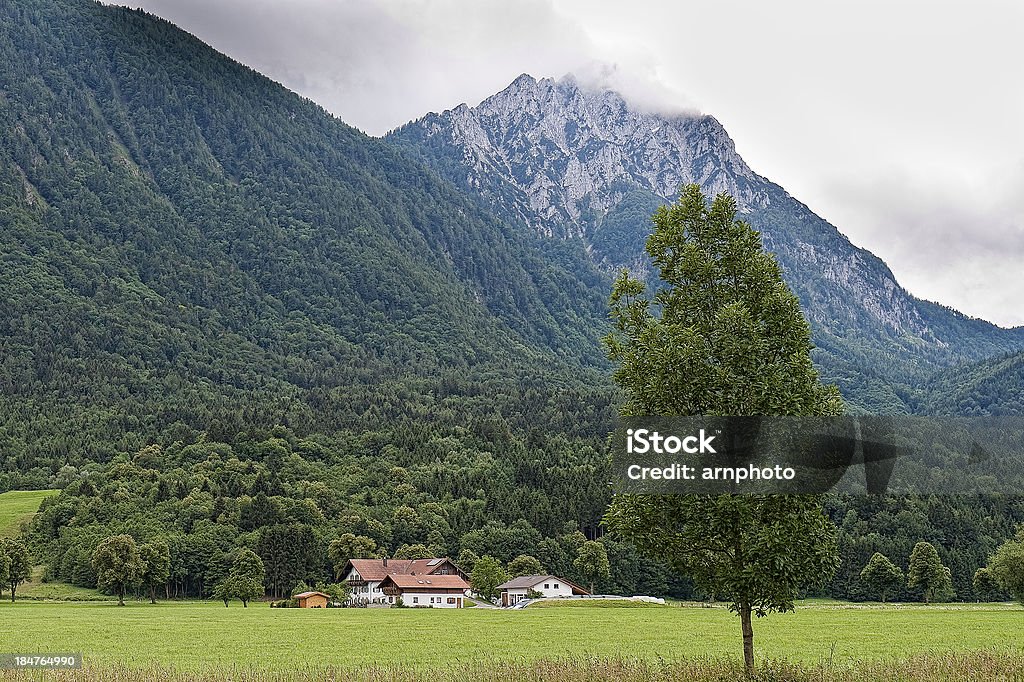 農家の谷 - オーストリアのロイヤリティフリーストックフォト