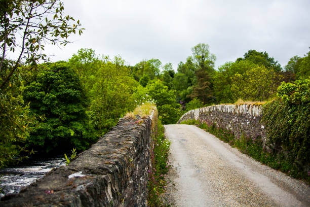 istock Spring landscape in the forests of Ireland 1847652804