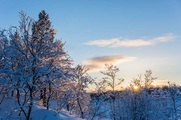 istock Winter sunset in Nuorgam, Lapland, Finland 1847655942