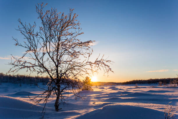 istock Winter sunset in Nuorgam, Lapland, Finland 1847655988