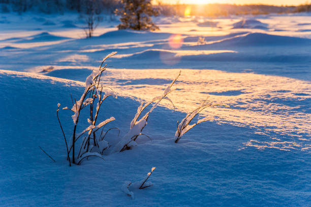 istock Winter sunset in Nuorgam, Lapland, Finland 1847655994