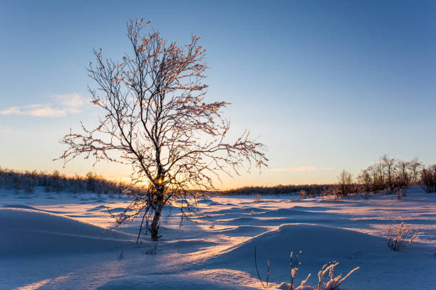 istock Winter sunset in Nuorgam, Lapland, Finland 1847655995