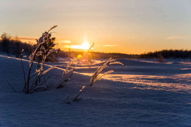istock Winter sunset in Nuorgam, Lapland, Finland 1847656001
