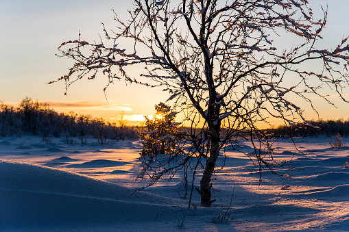 Winter landscape in Nuorgam, Lapland, Finland