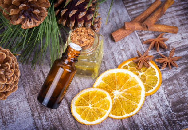 istock Pine cone plant, pine cone oil with various plants 1847663634