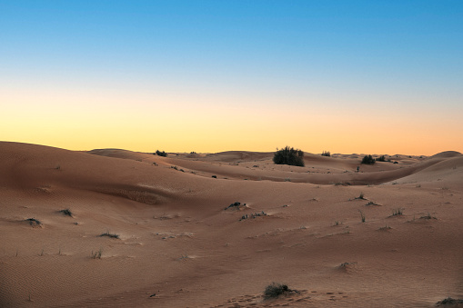 Desert in the United Arab Emirates at sunset