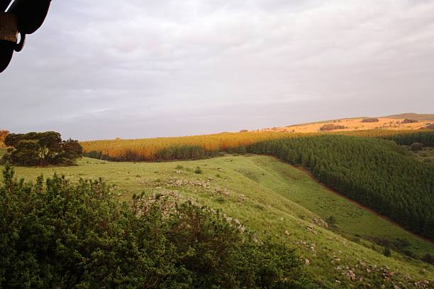 BRILHO NOTURNO DE MONTANHAS - foto de acervo