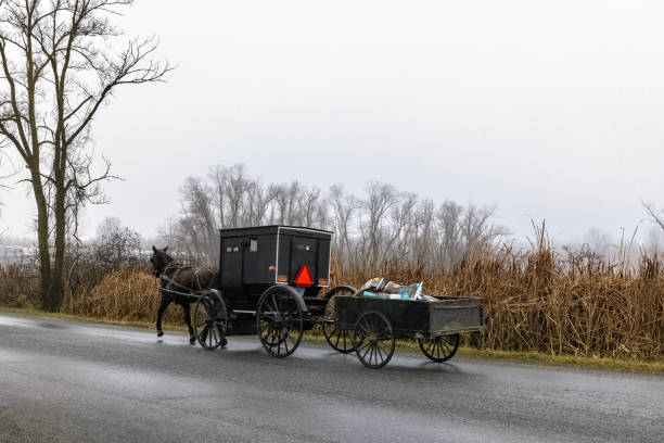 istock Amish Buggy and Wagon in Lowlands 1847678479