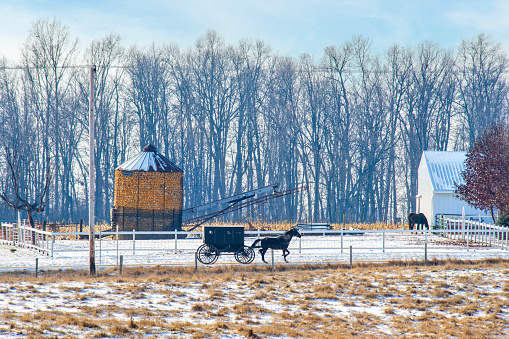 An Amish horse and buggy in the winter with a corn crib in the background.