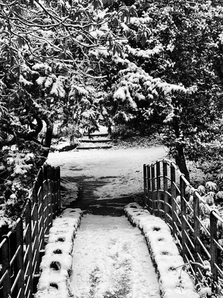 A snowy landscape in Jesmond Dene at Newcastle Upon Tyne A snowy landscape in Jesmond Dene at Newcastle Upon Tyne jesmond stock pictures, royalty-free photos & images