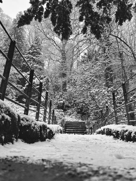 A snowy landscape in Jesmond Dene at Newcastle Upon Tyne A snowy landscape in Jesmond Dene at Newcastle Upon Tyne jesmond stock pictures, royalty-free photos & images