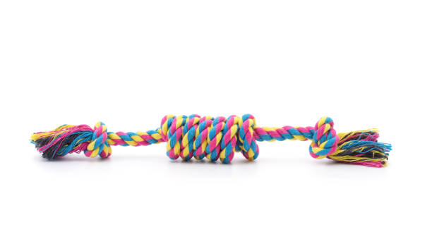 istock Rope toy for dogs. 1847696991