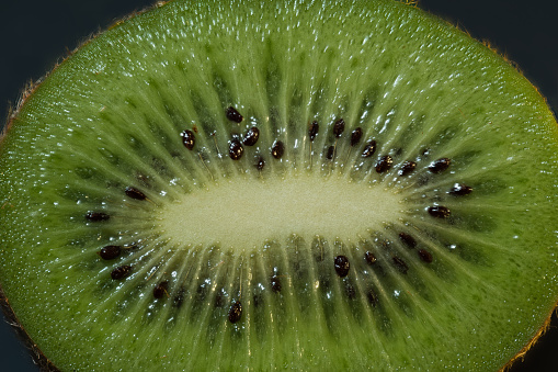 A piece of fresh, juicy kiwi