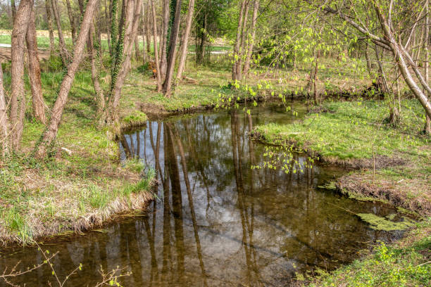 istock Bobri, Dolnja Bistrica is a meander from river Mura 1847700668