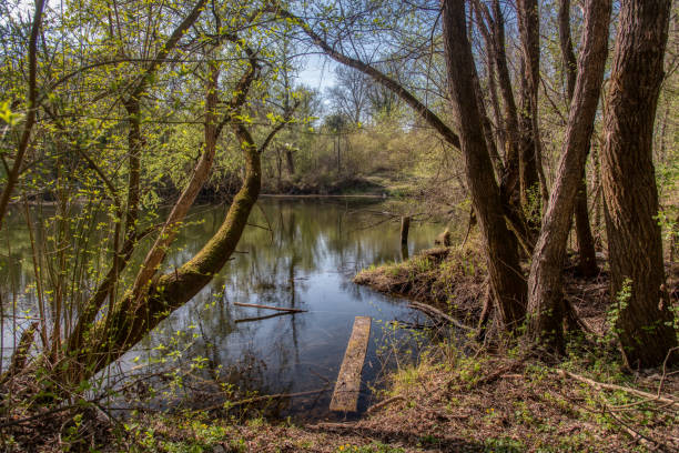istock Bobri, Dolnja Bistrica is a meander from river Mura 1847702803