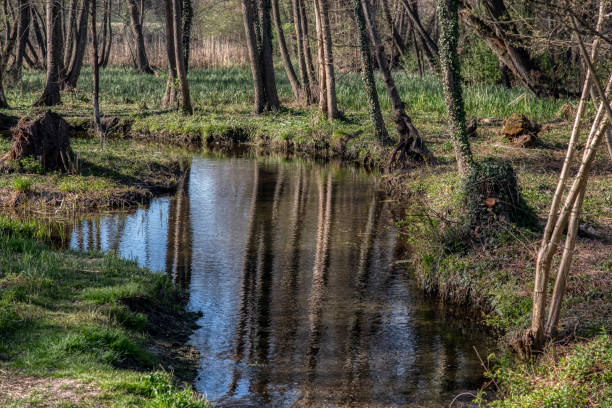istock Bobri, Dolnja Bistrica is a meander from river Mura 1847704662