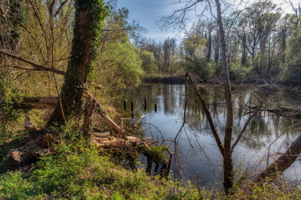 istock Bobri, Dolnja Bistrica is a meander from river Mura 1847704669
