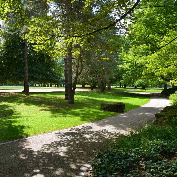 istock Beautiful meadow in the park 1847723135