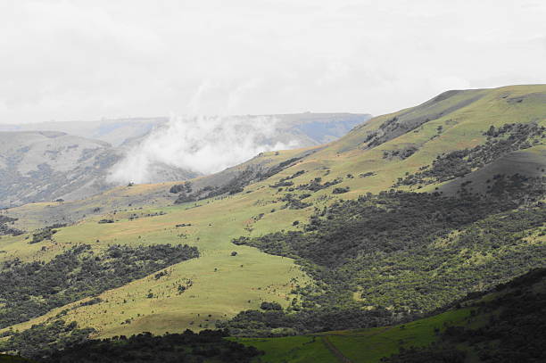 vista para a montanha com nevoeiro - foto de acervo