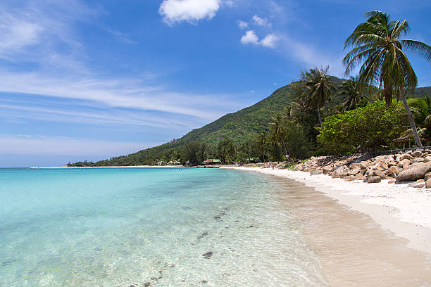 istock Blue lagoon with white sand and palms 184774136