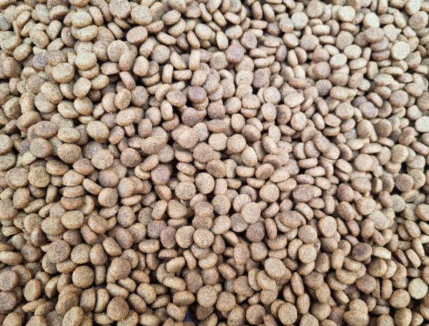 Dry Pet Food Backgrounds