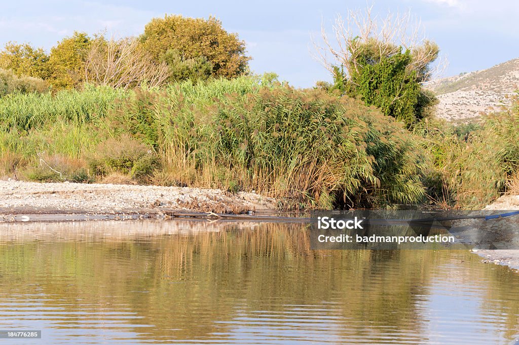 Wasser und Pflanzen - Lizenzfrei Agrarbetrieb Stock-Foto