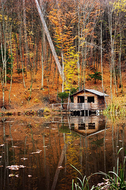istock house near the lake 184779026