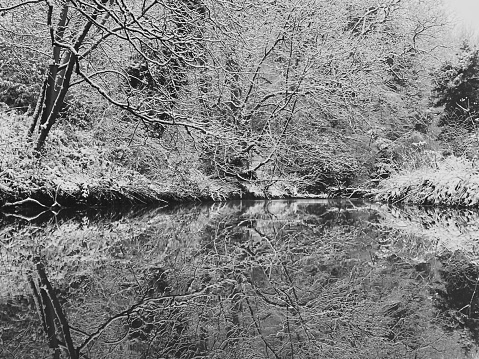 Bare trees covered with snow reflected in a river in Jesmond Dene at Newcastle Upon Tyne