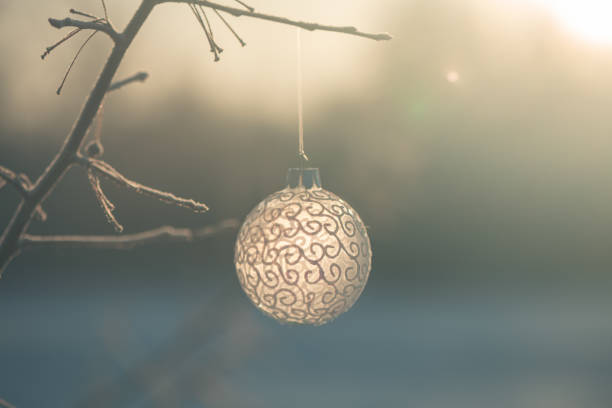 istock Christmas ball on tree outdoors, creative photo, new year, christmas 1847814644