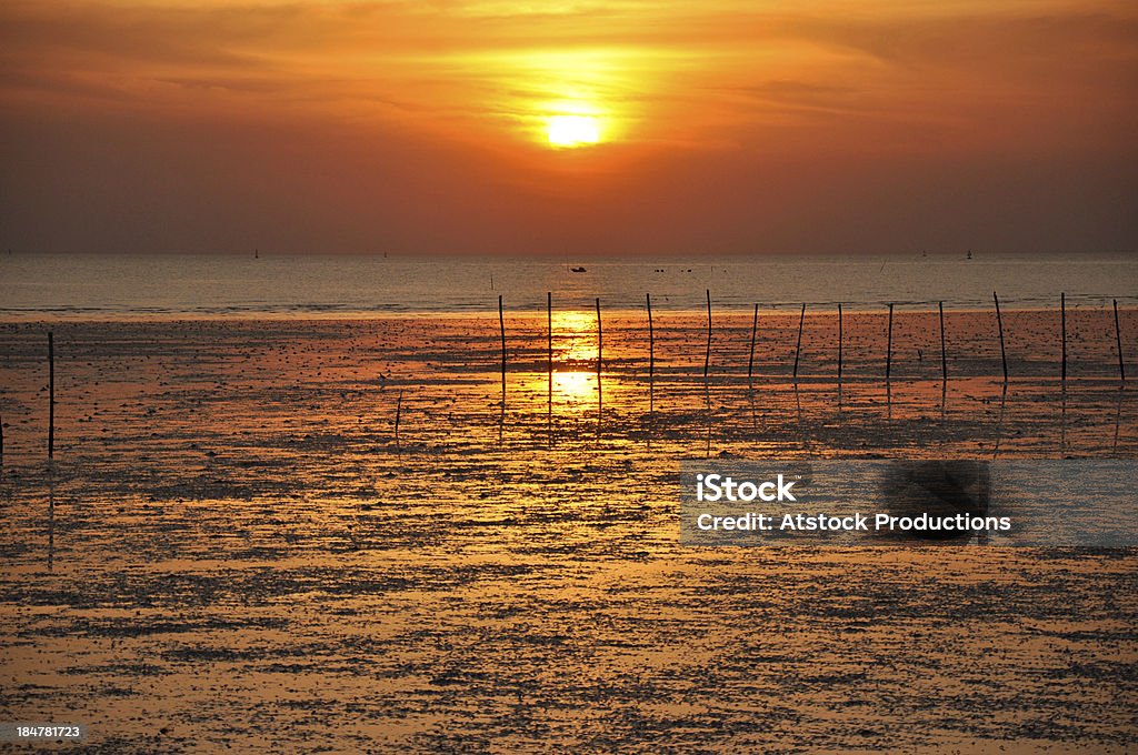 Vista do pôr-do-sol da costa do mar - Foto de stock de Abstrato royalty-free