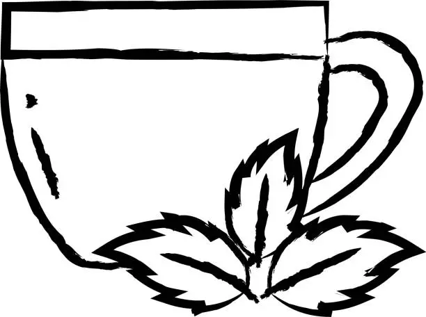 Vector illustration of tea mint hand drawn vector illustration