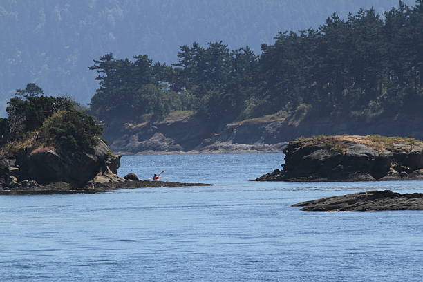 istock kayaking in the San Juan Islands 184782652