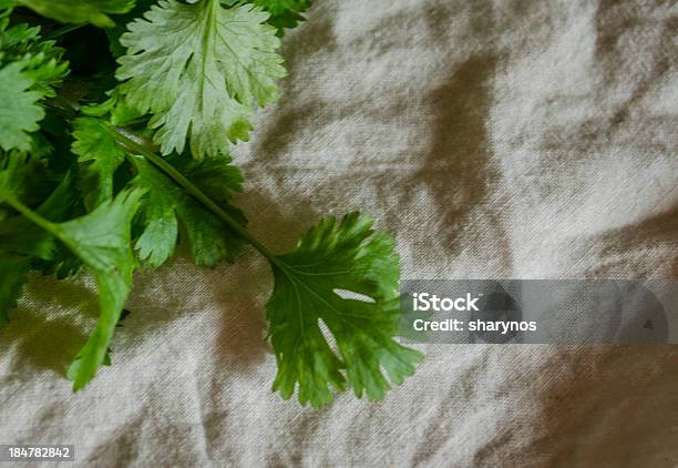 Photo libre de droit de Cilantro Sur Fond De Coton banque d'images et plus d'images libres de droit de Aliment - Aliment, Aliment cru, Aliment en portion