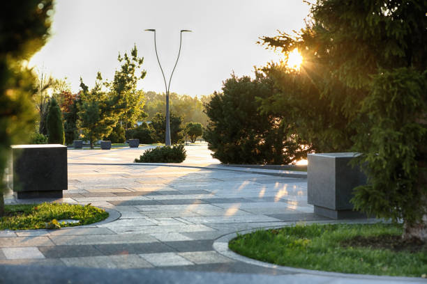 istock Morning in the park 1847887214
