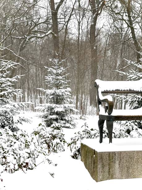 istock Real winter. Alexandria Park 1847903974